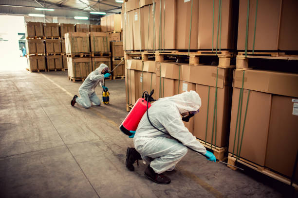 Best Wildlife Control Services  in Danville, AR