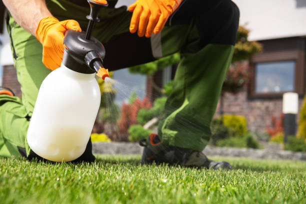 Best Wildlife Control Services  in Danville, AR