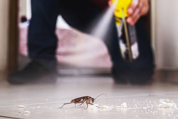 Best Pest Removal Services  in Danville, AR